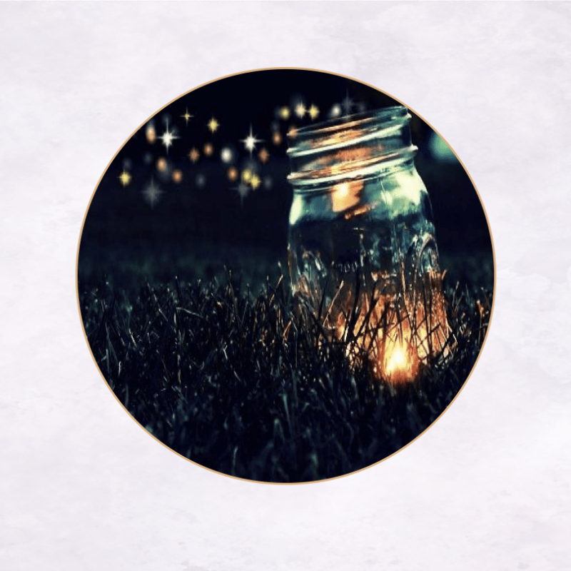 Musings & Conversations in&nbsp;2020